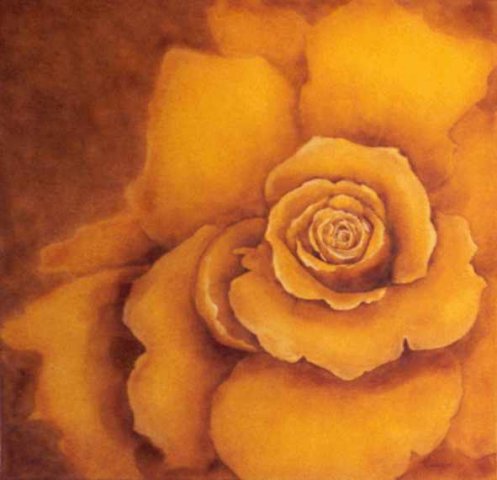 03. Gelbe Rose