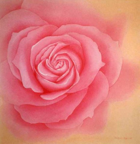 01. Rosa Rose